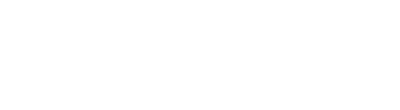 NewBold Technologies Logo white