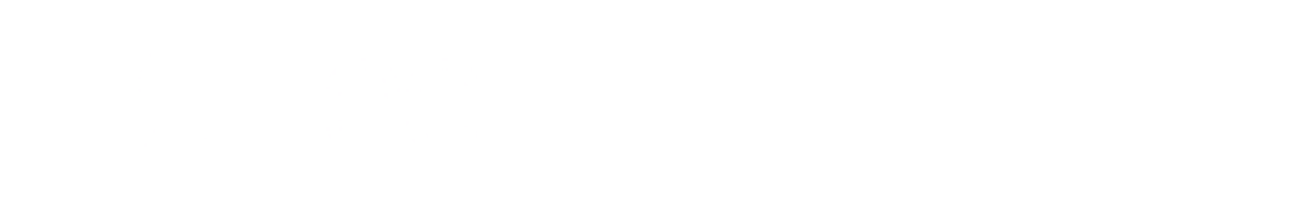 NewBold Technologies Logo white